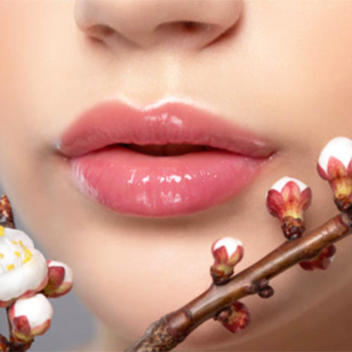 Best Organic and Natural Products to Keep your Lips Soft, Hydrated and Plump